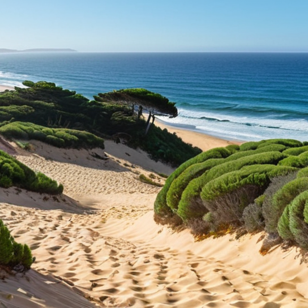 Nature's Embrace: Resilient Portuguese Coasts**
A vibrant, healthy Portuguese coastal landscape, showcasing natural defenses like lush sand dunes stabilized with native vegetation (e.g., umbrella pine trees, *Pinus pinea*), gently sloping towards the Atlantic Ocean. Emphasize the resilience and beauty of these ecosystems as a first line of defense against erosion and rising sea levels. Sunny daylight, clear blue sky, evoking hope and natural harmony with a distinct Portuguese coastal feel.

**