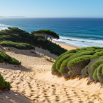 Nature's Embrace: Resilient Portuguese Coasts**
A vibrant, healthy Portuguese coastal landscape, showcasing natural defenses like lush sand dunes stabilized with native vegetation (e.g., umbrella pine trees, *Pinus pinea*), gently sloping towards the Atlantic Ocean. Emphasize the resilience and beauty of these ecosystems as a first line of defense against erosion and rising sea levels. Sunny daylight, clear blue sky, evoking hope and natural harmony with a distinct Portuguese coastal feel.

**